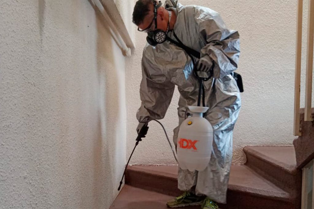 Fumigación de inmuebles