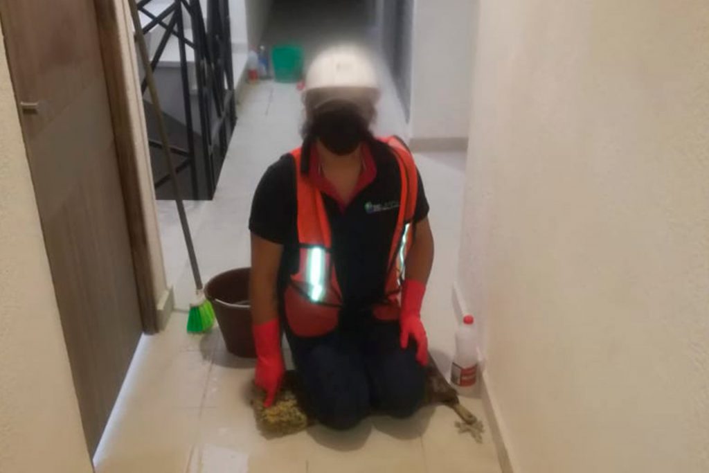 Limpieza fina y final de obra